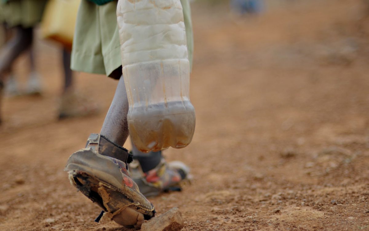 Donate your woolens this winter